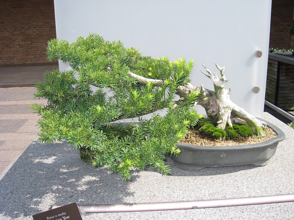 Botanical Gardens 2010 0480.jpg - The Chicago Botanic Gardens. Wear comfortable shoes, and be prepared to enjoy the landscape for a day.